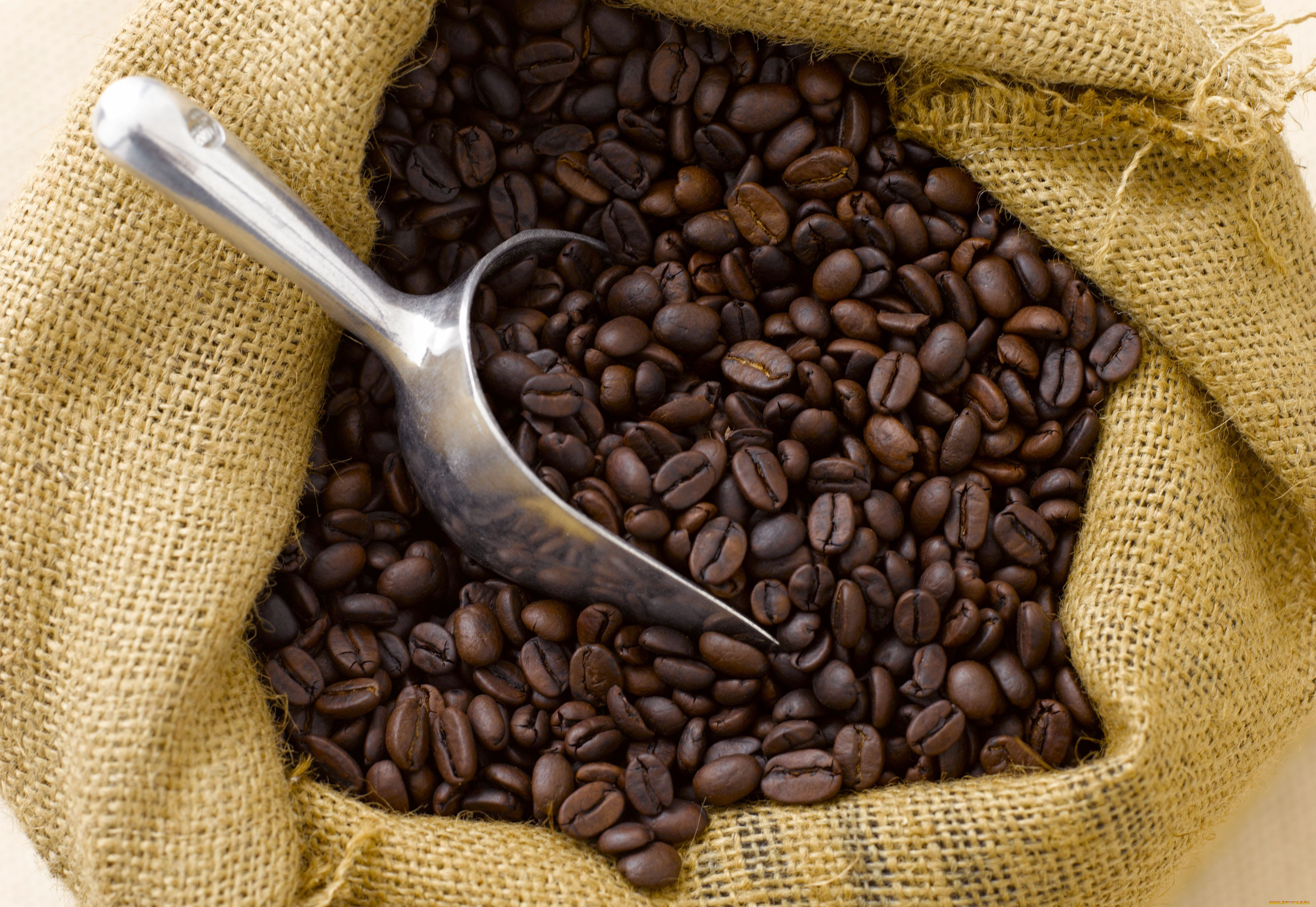 Крупнейшим производителем кофе является